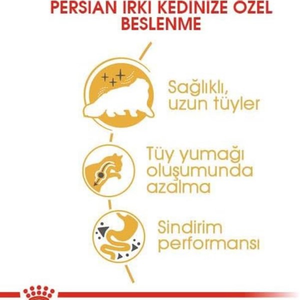 Royal Canin Persian Yetişkin Kedi Maması 400 Gr