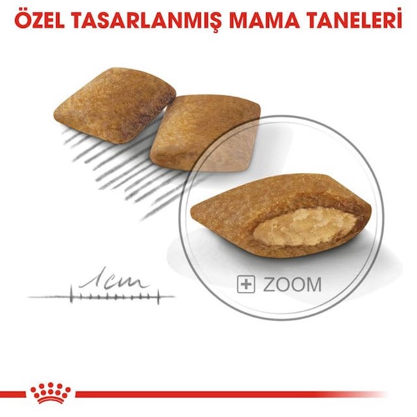 Royal Canin Ccn Mini Exigent Yetişkin Köpek Maması, 3 Kg