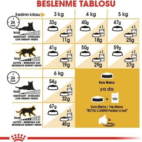 Royal Canin Persian Yetişkin Kedi Maması, 4 Kg