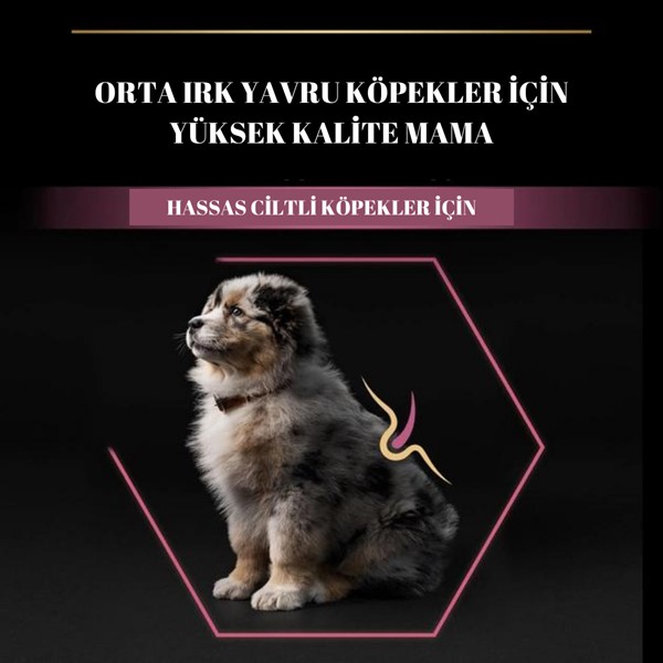 PRO PLAN Medium Puppy Somonlu Köpek Maması 12 kg