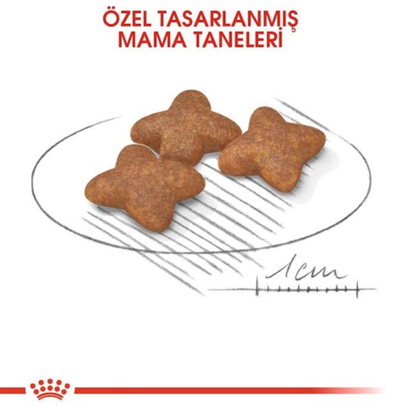 Royal Canin Mini Adult Köpek Maması, 8 Kg