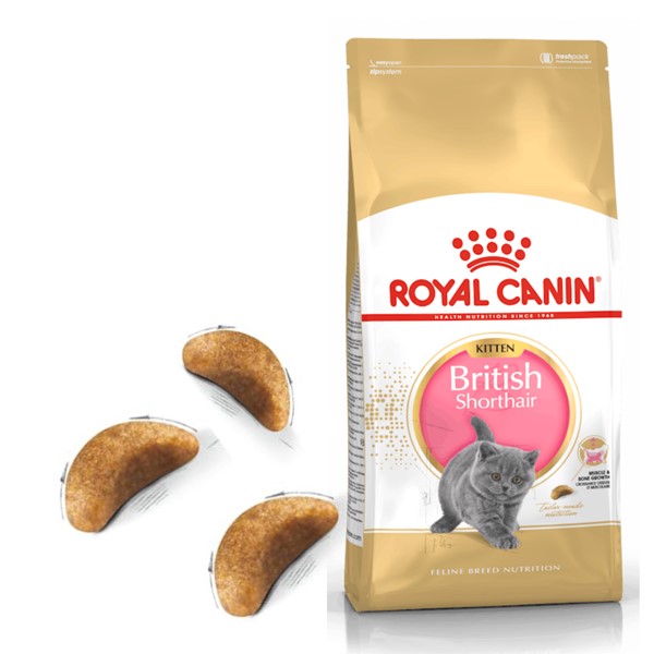 Royal Canin British Short Hair Yavru Kuru Kedi Maması 2 Kg