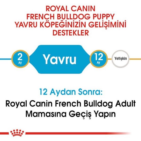 Royal Canin French Bulldog Junior Kuru Köpek Maması 3 Kg