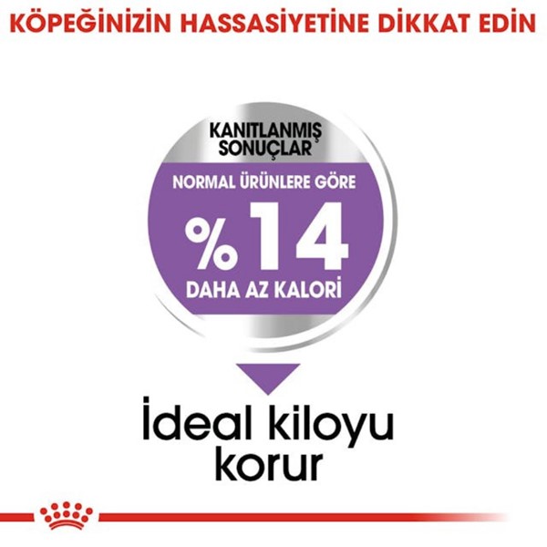 Royal Canin Ccn Mini Sterilised 3 Kg Yetişkin Köpek Maması