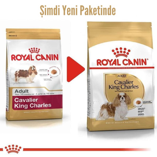 Royal Canin Cavalier King Charles Adult Köpek Maması, 1,5 Kg