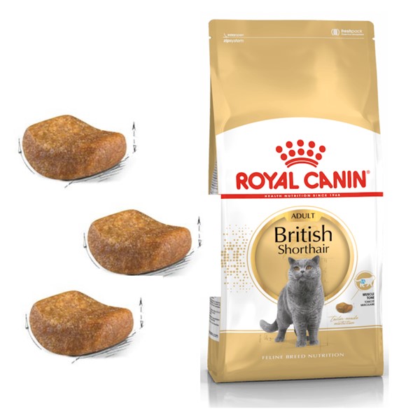 Royal Canin British Short Hair Yetişkin Kedi Maması, 10 Kg