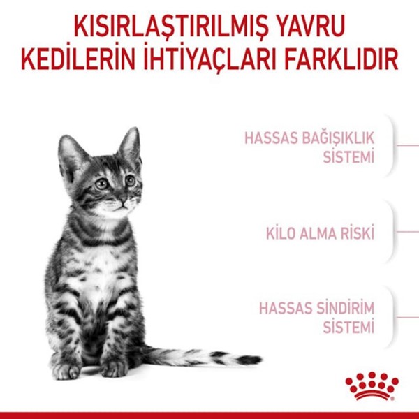 Royal Canin Sterilised Kitten Kısırlaştırılmış Yavru Kedi Maması 2 Kg