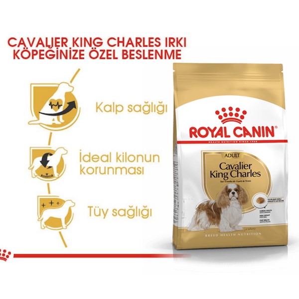 Royal Canin Cavalier King Charles Adult Köpek Maması 3 Kg