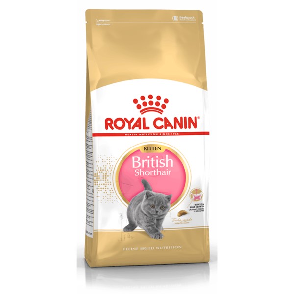 Royal Canin British Short Hair Yavru Kuru Kedi Maması 2 Kg