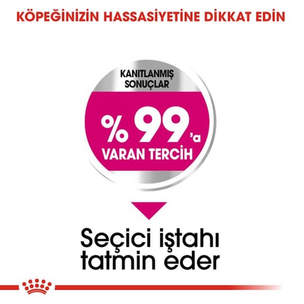 Royal Canin Ccn Mini Exigent Yetişkin Köpek Maması, 3 Kg