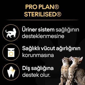 Pro plan Morina & Alabalıklı Kısırlaştırılmış Kuru Kedi Maması 10 kg