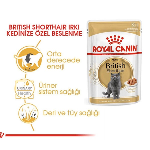 Royal Canin British Shorthair Konserve 85 gr