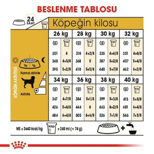 Royal Canin Labrador Retrıever Adult Yetişkin Köpek Maması 12 Kg