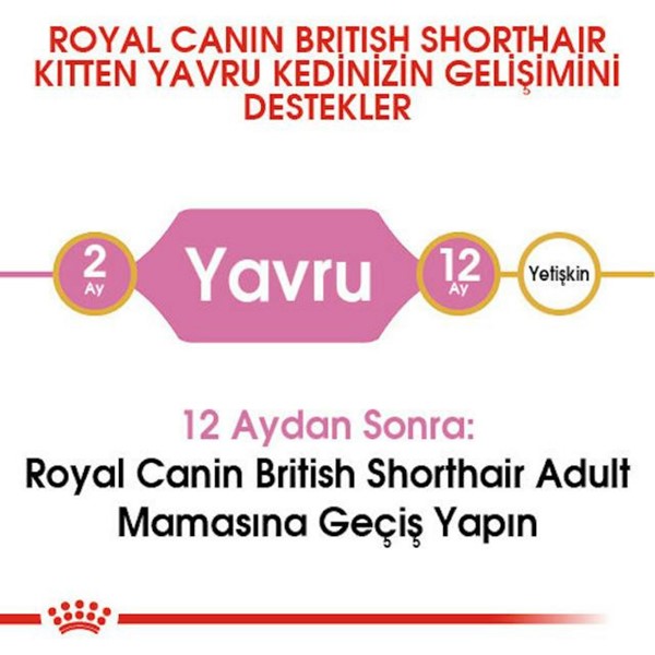 Royal Canin British Short Hair Yavru Kuru Kedi Maması 2 Kg