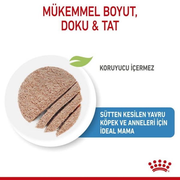 Royal Canin-Starter Mousse Anne Ve Yavruları Için Köpek Konservesi 195 gr