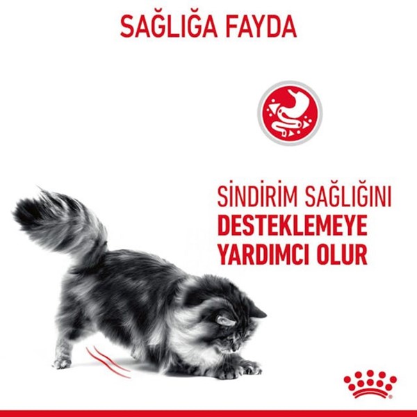 Royal Canin Digest Sensitive Yetişkin Kedi Konservesi 85 Gr