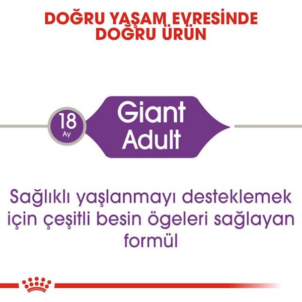 Royal Canin Giant Adult Köpek Maması, 15 Kg