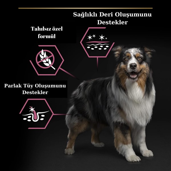 Pro Plan Orta ve Büyük Irk Yetişkin 7+ Yaş Somonlu Kuru Köpek Maması 14 kg