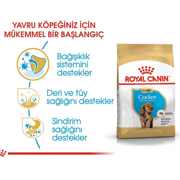 Royal Canin Cocker Yavru Köpek Maması 3 Kg