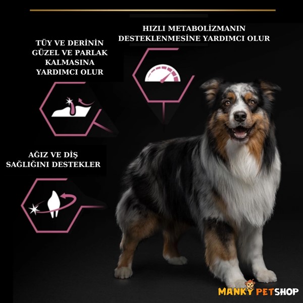 Pro plan Somonlu Yetişkin Köpek Maması 14 Kg