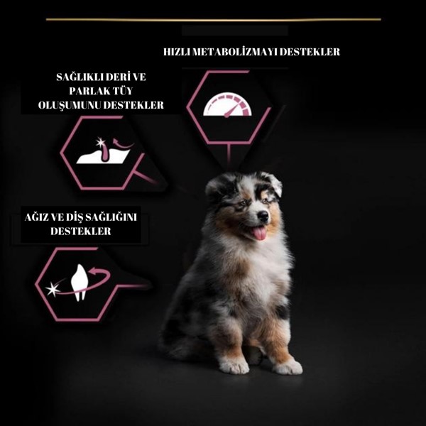 PRO PLAN Medium Puppy Somonlu Köpek Maması 12 kg