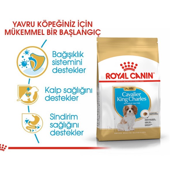 Royal Canin Cavalier King Charles Yavru Köpek Maması 1.5 Kg