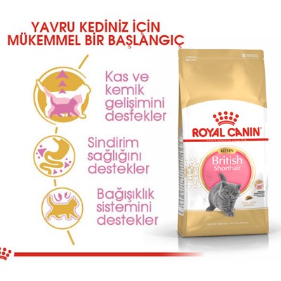 Royal Canin British Short Hair Yavru Kuru Kedi Maması 2 Kg