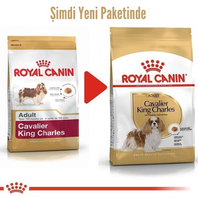 Royal Canin Cavalier King Charles Adult Köpek Maması 3 Kg