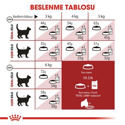 Royal Canin Adult Fit 32 Yetişkin Diyet Kedi Maması 10 Kg