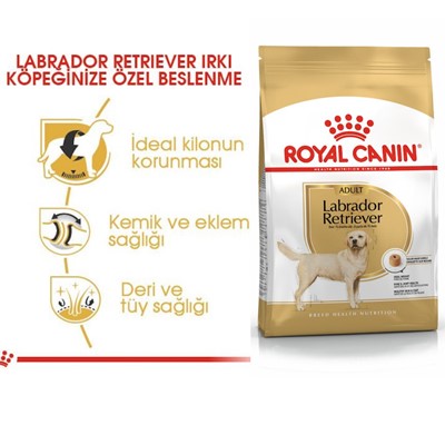 Royal Canin Labrador Retrıever Adult Yetişkin Köpek Maması 12 Kg