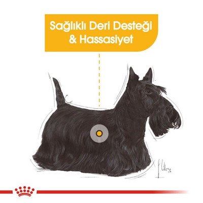 Royal Canin Dermacomfort Loaf Yetişkin Köpek Maması 85 gr