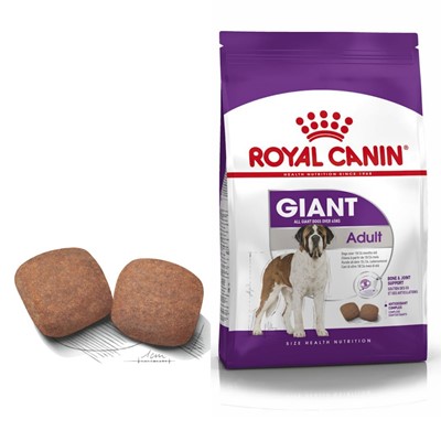 Royal Canin Giant Adult Köpek Maması, 15 Kg