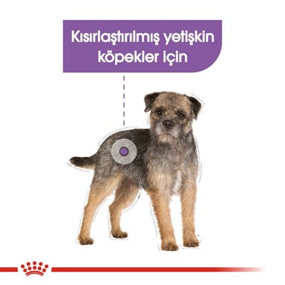 Royal Canin Sterilised Loaf Kısırlaştırılmış Köpek Maması 85 gr