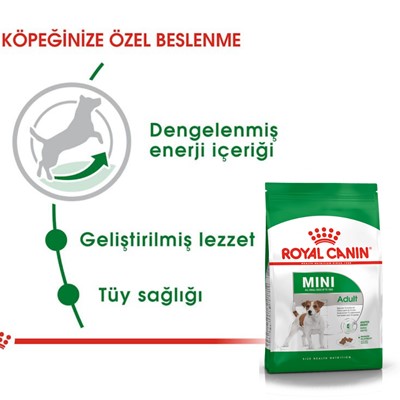 Royal Canin Mini Adult Köpek Maması, 8 Kg