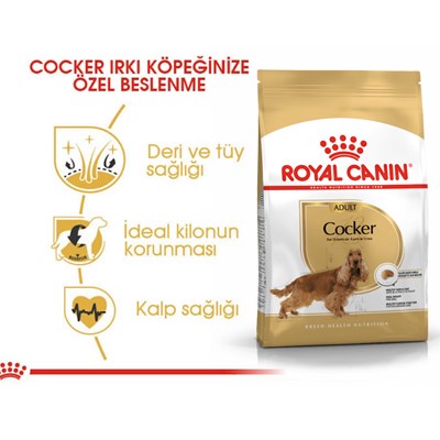 Royal Canin Cocker Yetişkin Köpek Maması  3 Kg