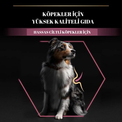 Pro plan Somonlu Yetişkin Köpek Maması 14 Kg