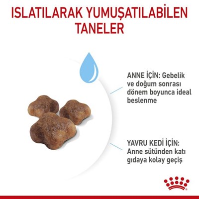 Royal Canin Mother & Babycat Kuru Kedi Maması, 2 Kg