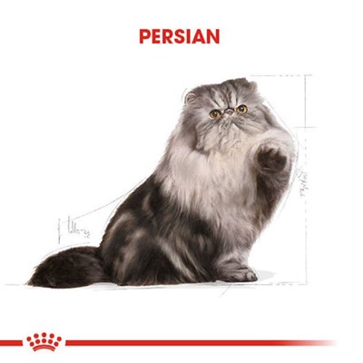 Royal Canin Pouch Persian Yaş Maması 85 gr