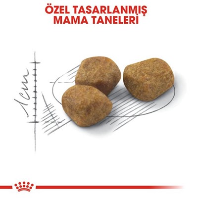 Royal Canin Indoor +7 Ev Kedileri İçin Yaşlı Kedi Maması 3,5kg