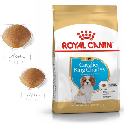 Royal Canin Cavalier King Charles Yavru Köpek Maması 1.5 Kg