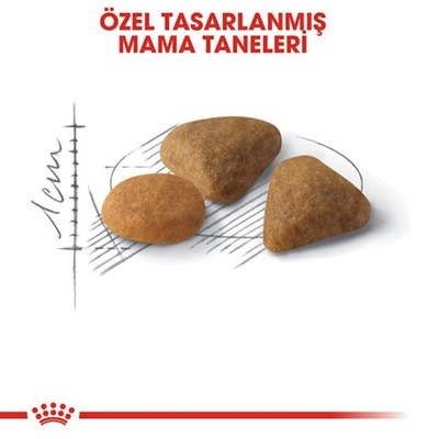 Royal Canin Savour Exigent 35/30 Seçici Kedilere Özel Kedi Maması 400 gr