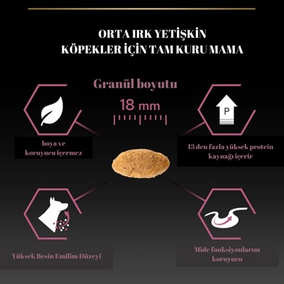 Pro plan Somonlu Yetişkin Köpek Maması 14 Kg