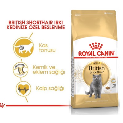 Royal Canin British Short Hair Yetişkin Kedi Maması, 4 Kg