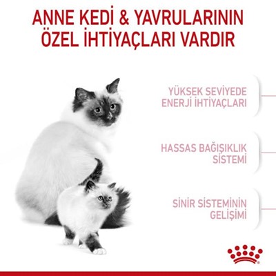 Royal Canin Mother & Babycat Kuru Kedi Maması, 2 Kg