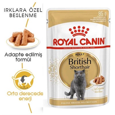 Royal Canin British Shorthair Konserve 85 gr