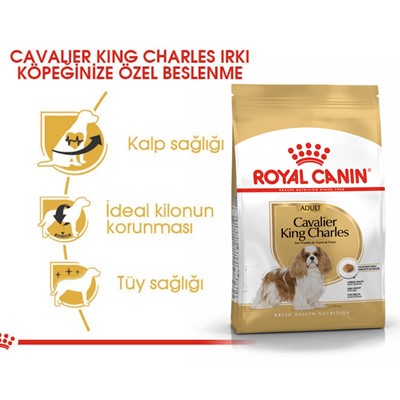 Royal Canin Cavalier King Charles Adult Köpek Maması 3 Kg