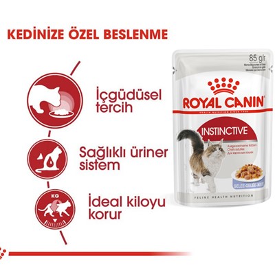 Royal Canin Instinctive Adult Jelly Yetişkin Yaş Kedi Maması 85gr