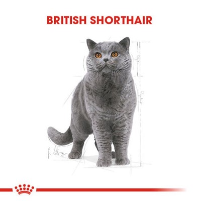 Royal Canin British Short Hair Yetişkin Kedi Maması, 4 Kg