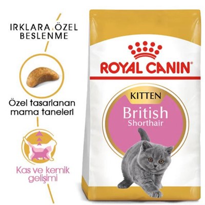 Royal Canin British Short Hair Yavru Kuru Kedi Maması 2 Kg