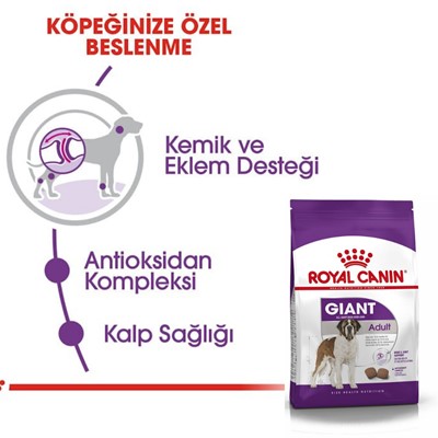 Royal Canin Giant Adult Köpek Maması, 15 Kg